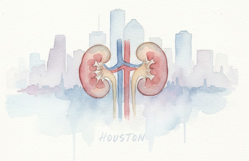 Maior congresso de nefrologia do mundo: novidades que podem transformar o cuidado renal